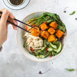 Udon Noodle Bowl mit Tofu